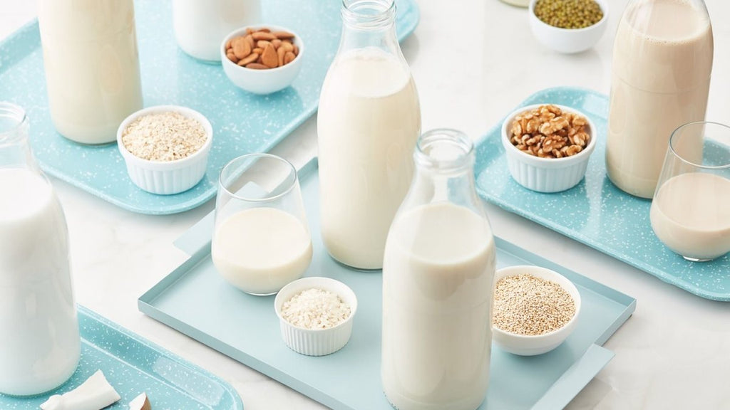 8 Options of Plant-Based Milk Alternatives For You - FourLeaf