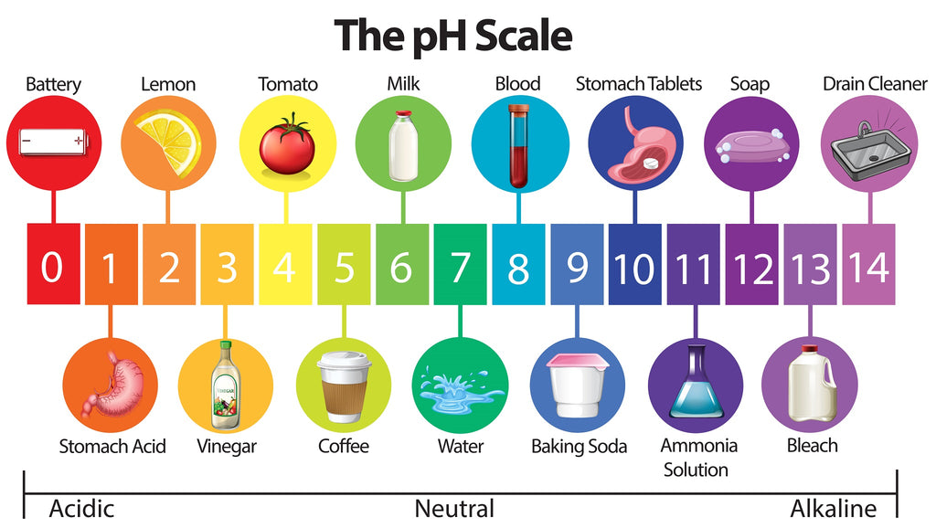What You Need To Know About The pH of The Water