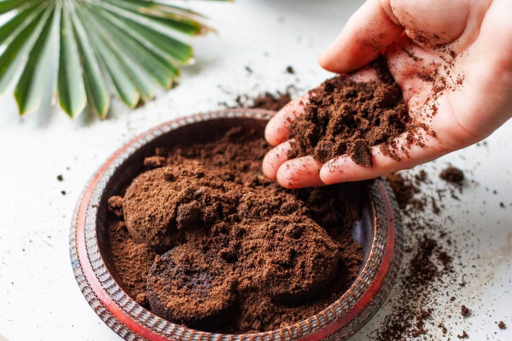Beyond the Brew: The Unexpected Uses of Coffee Ground - FourLeaf