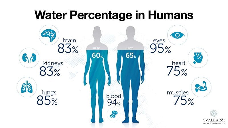 how-much-water-should-you-drink-every-day