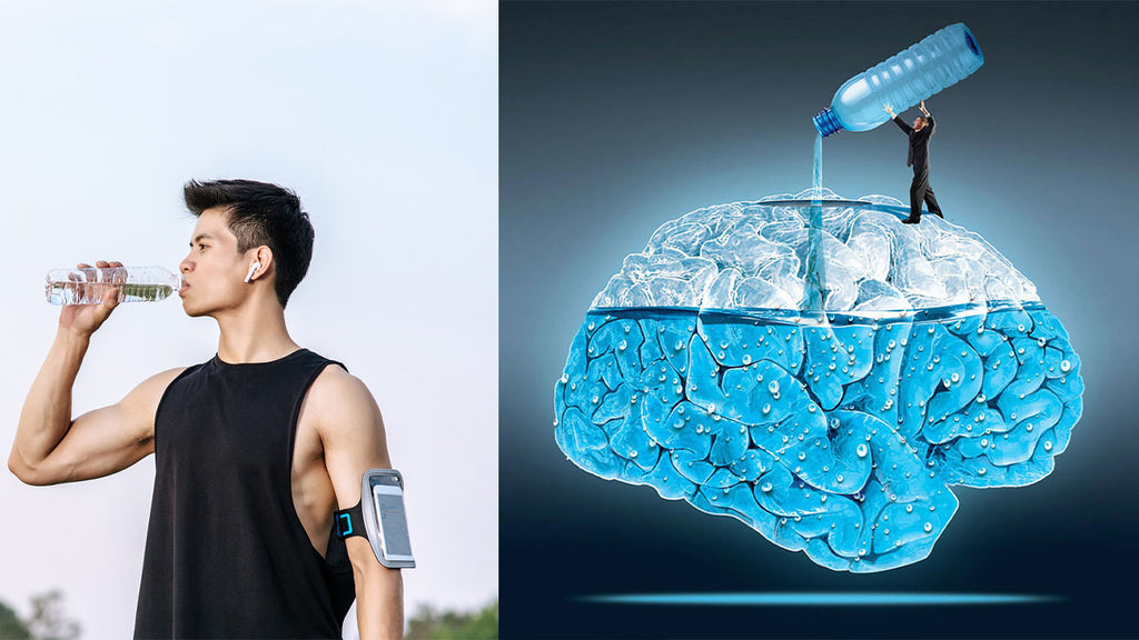 What Does Water Do For The Brain?